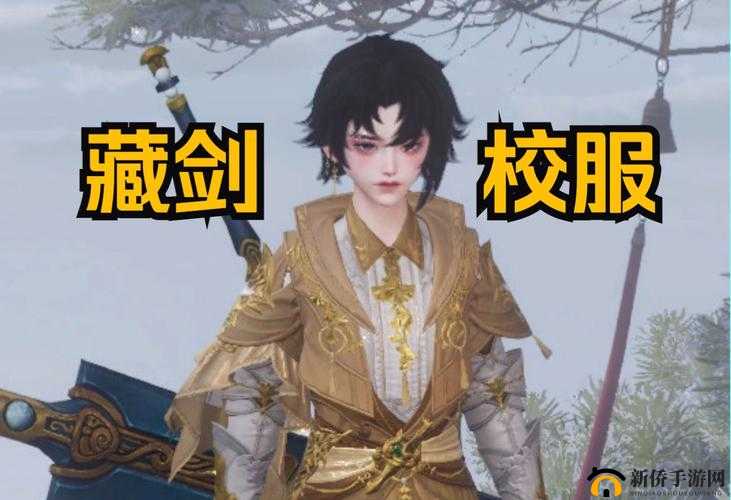 仙剑情缘 3 藏剑团战必备技巧 助你称霸战场称雄江湖