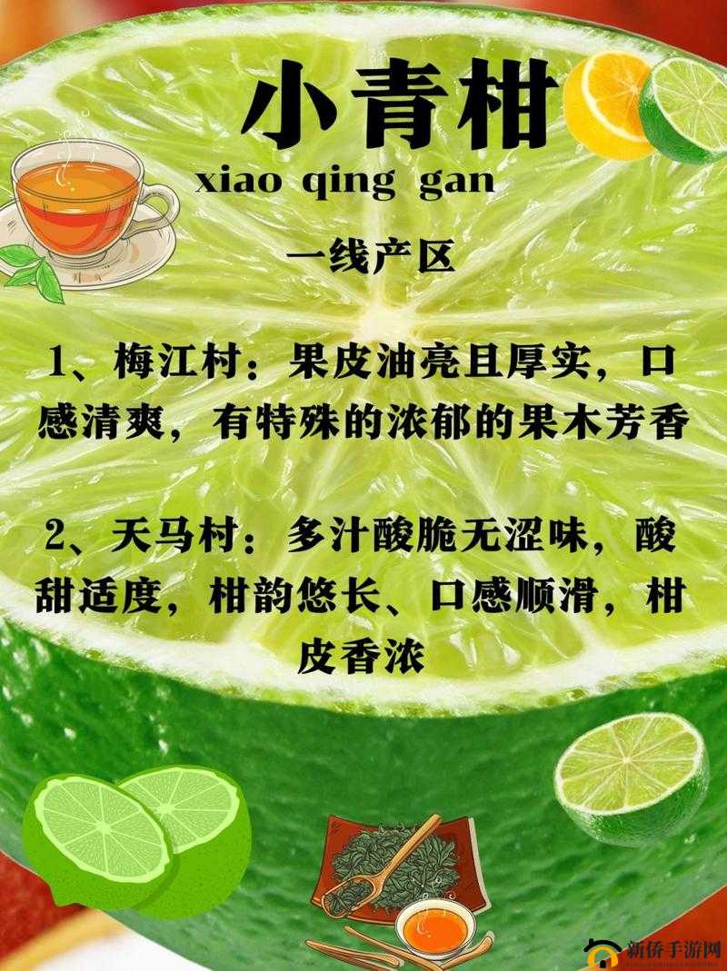 小青柑一线产区和二线产区的区别-特点与差异