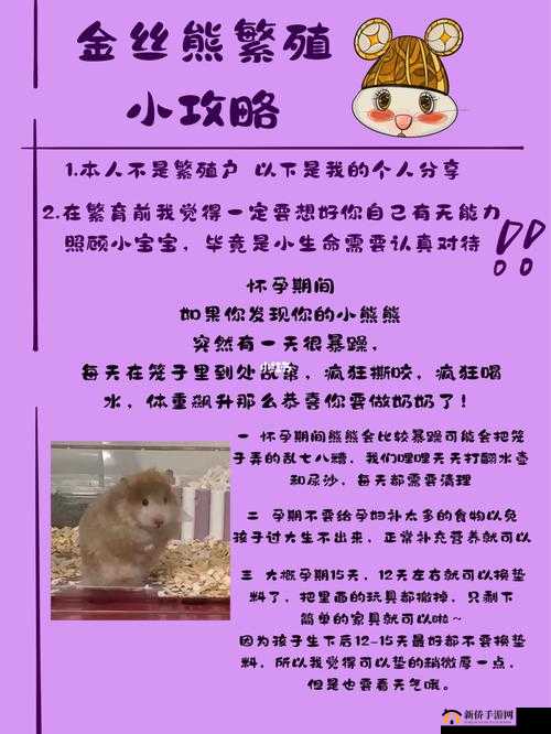 轩辕传奇坐骑繁殖攻略：图文并茂解析繁殖过程
