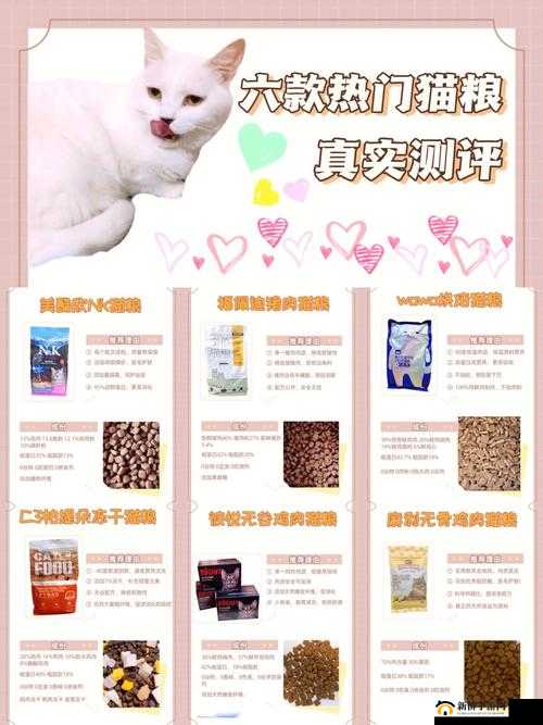 猫粮拔萝卜软件：一款实用的工具