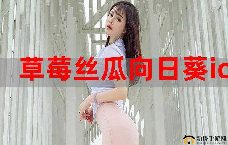 旧版草莓丝瓜向日葵黄瓜榴莲汅下载：经典资源的新探索