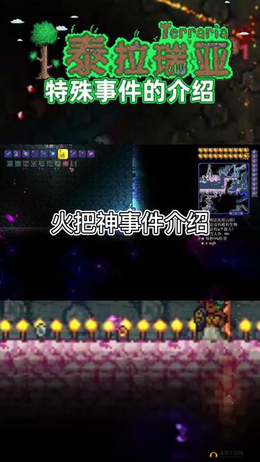泰拉瑞亚游戏中无限刷取火把的神奇方法及详细步骤介绍