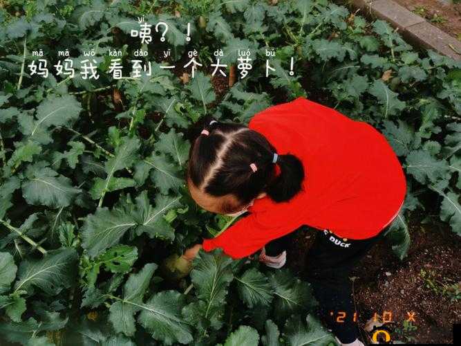 后挤牛奶拔萝卜怎么拔:实用技巧与注意事项