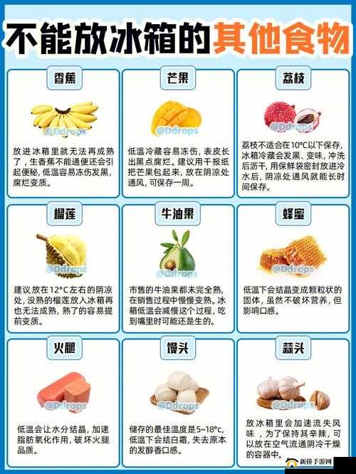 榴莲秋葵向日葵茄子丝瓜大全:食材集合
