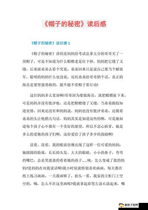 关于帽子世界二周目心得之深度体验与感悟分享