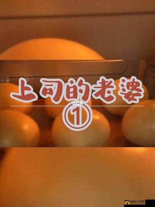 上司老婆的日常趣事