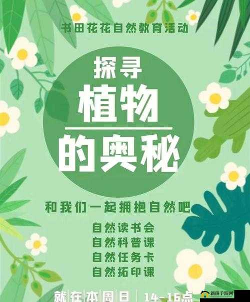CEKE 美国 BNДEO 高：探寻美国教育的奥秘