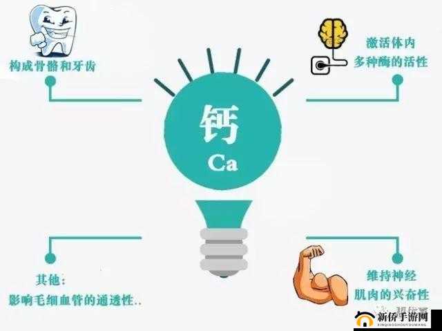 202GGY 钙站:钙的世界等你来探索