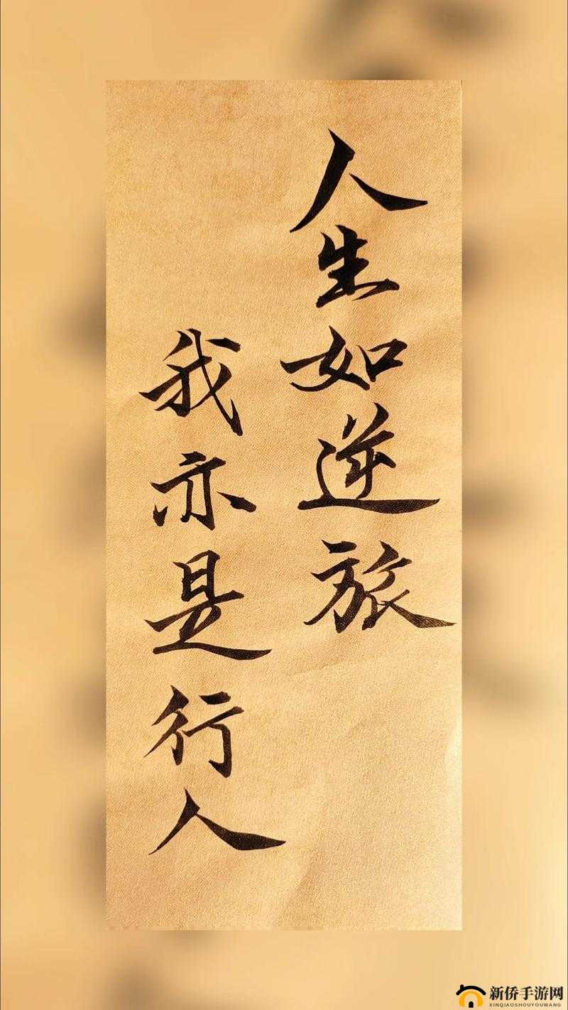 公交车上的诗请 10:人生如逆旅,我亦是行人