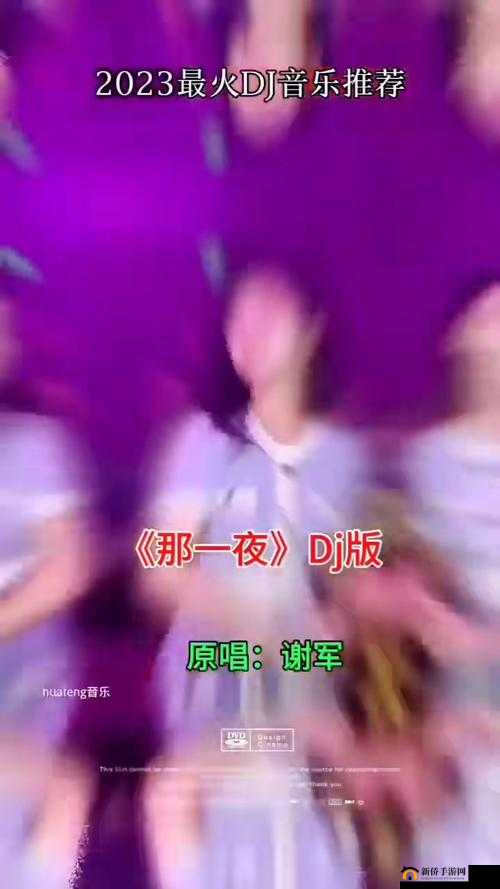 我的朋友她的麦子 dj:一首独特的音乐