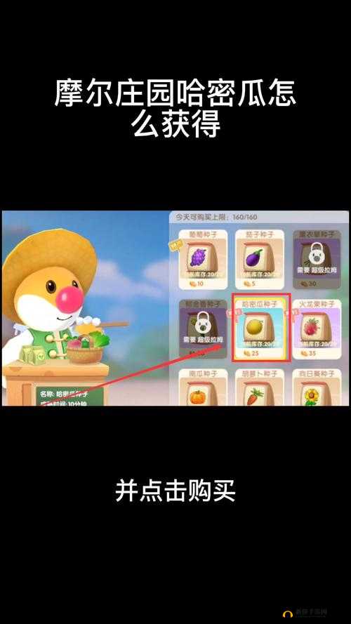 摩尔庄园手游哈密瓜种子获取全攻略 教你轻松得到哈密瓜种子