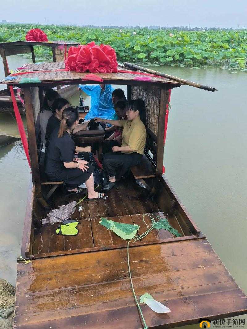 老人船上弄雨荷好吗:一幅动人的画面