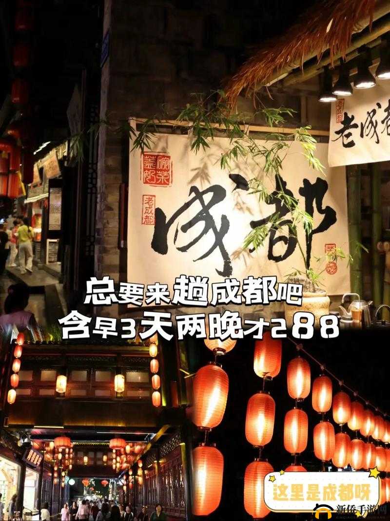 适合一个人看的电视成都:品味慢生活