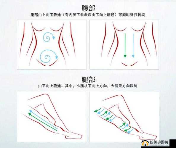 探寻真北斗无双 7 级经络图高效刷取之法