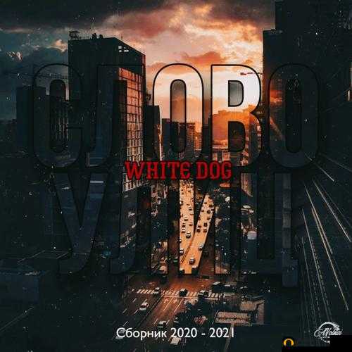 ZOOMDOG2021:相关介绍