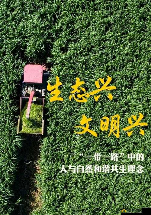 人与畜禽:和谐共生的奇妙世界