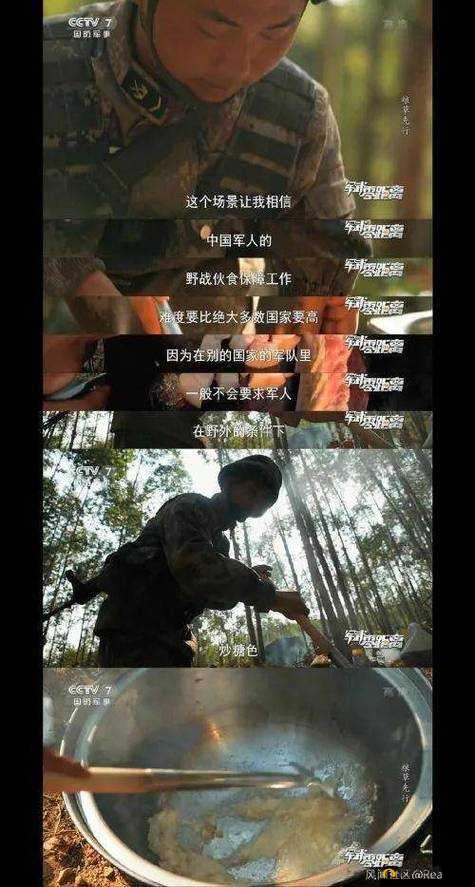 在战争中探寻人性的深度——这是我的战争中文版解说视频