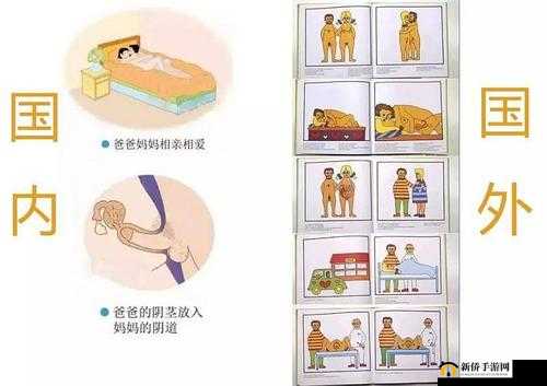 欧美 6—9 岁儿童性教育影片:家长和教育者的必修课