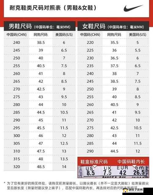 Zoom 与动物 Zoom 合作项目:开启奇妙探索之旅