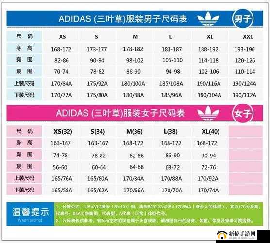 三叶草 M 码和亚洲码区别-对比分析