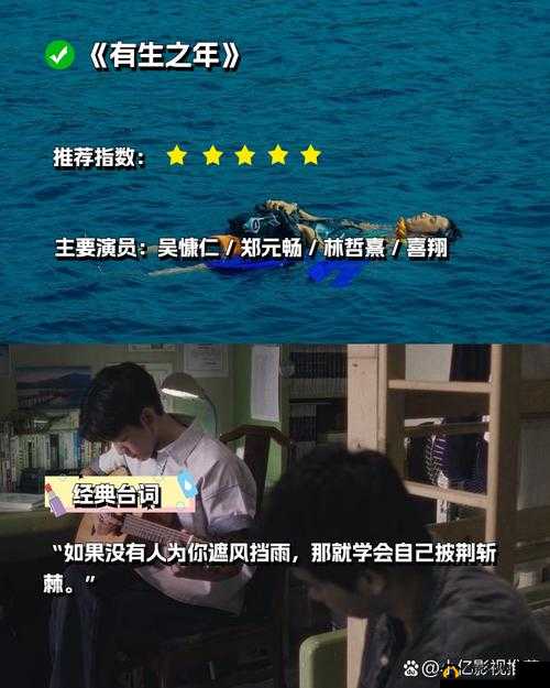 最好看的中文字幕国语电视剧之精彩剧集推荐