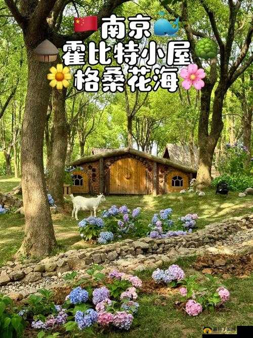 亲小花园的技巧:让俬密花园更健康