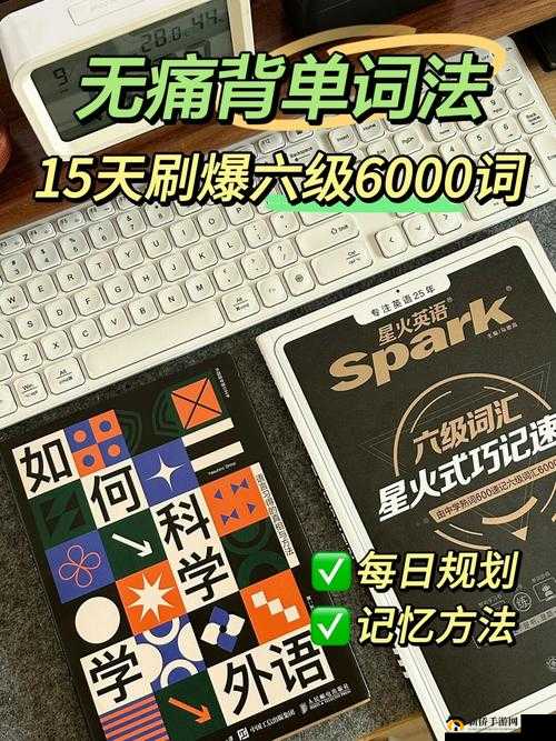 坐在教授的棒棒上背单词:高效学习新体验