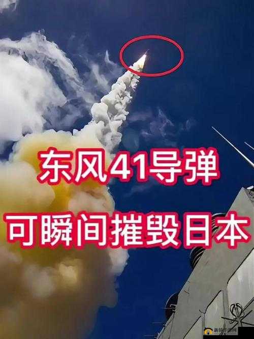 日本进口 wkt7:高品质原料,带来卓越体验