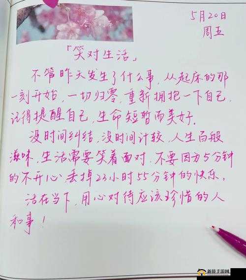 及时行乐 HPO:享受当下,拥抱快乐