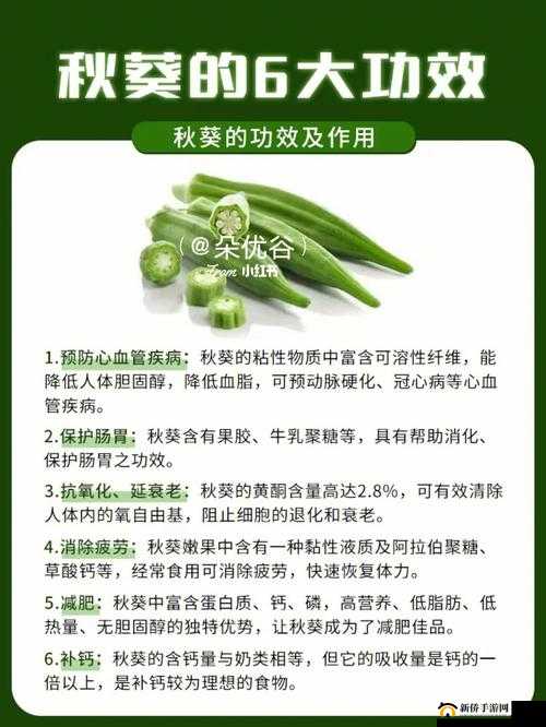 秋葵适合未满 18 岁的人吃吗?