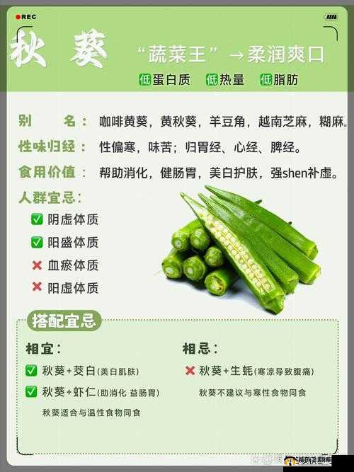 秋葵适合未满十八岁的人吃吗女生:相关解答