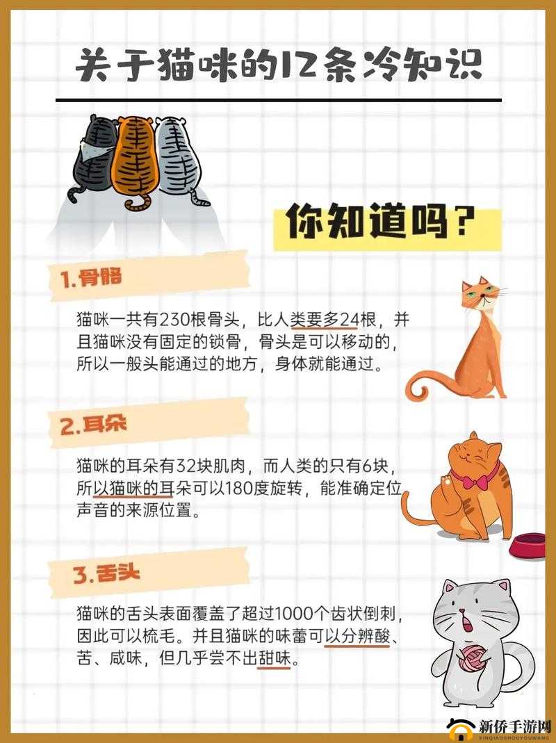 爆笑生活第17关攻略:睡着的史小坑怎么过?详细指南