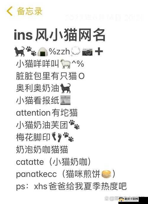 猫咪成年人地域网名怎么取:探讨取名方法