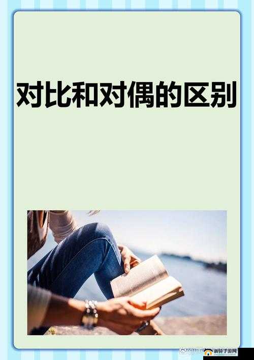 麻豆一二三产区区别:特点与差异