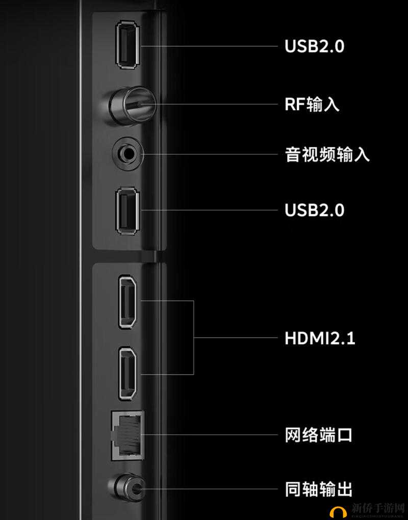 航海王启航新世界布鲁斯实力究竟如何?深度技能测评解析