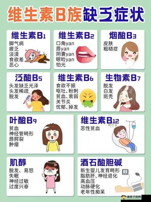 B 与 B 的不同之处:特点阐述