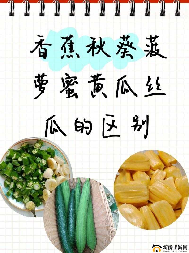 秋葵茄子丝瓜香蕉榴莲:美味蔬果大集合