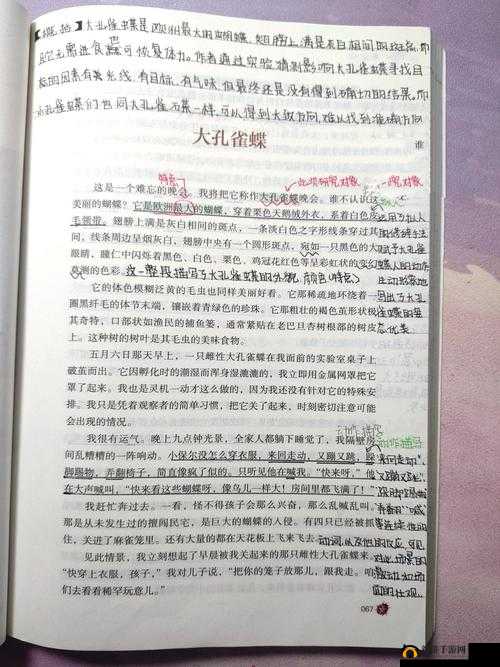 《小小蚁国习性选择攻略:昆虫世界中的生存智慧》
