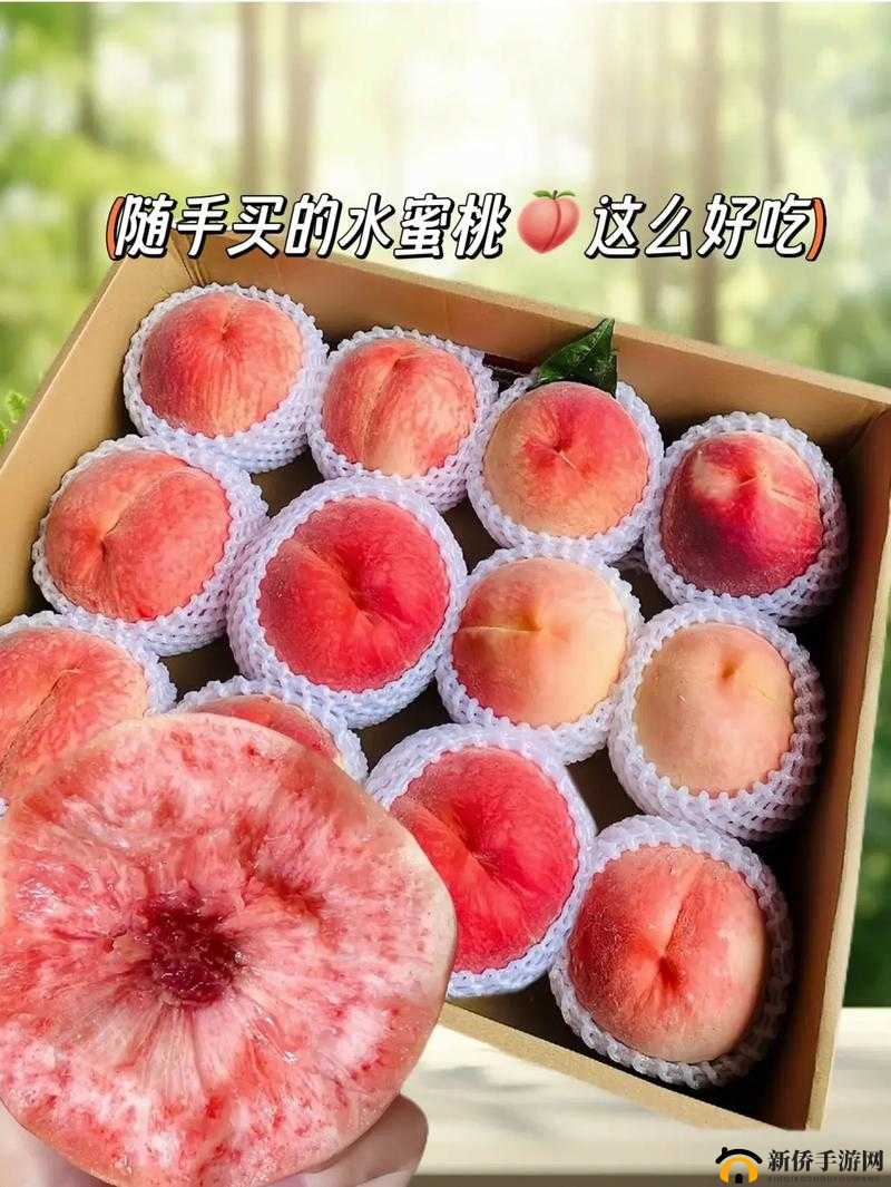 SN3858 粉色水蜜桃:甜蜜多汁的独特之选