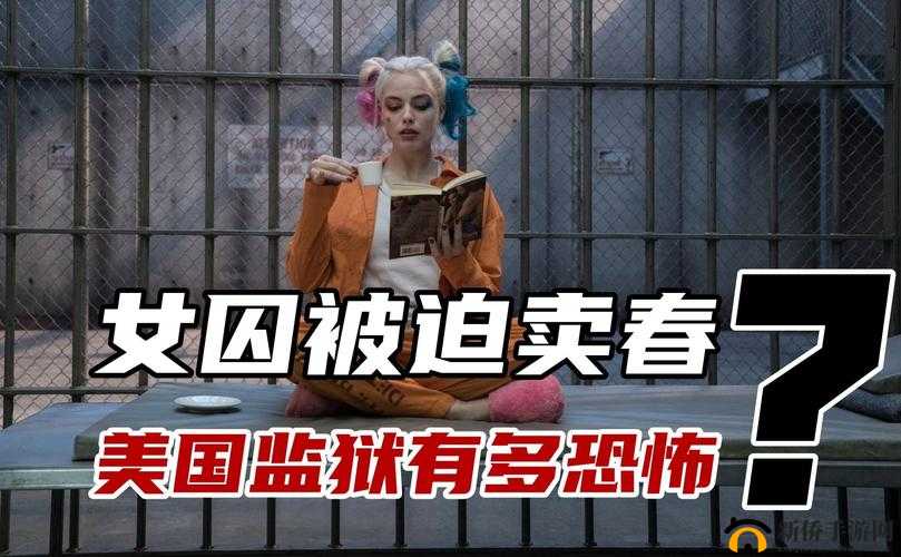 美国的忌讳 1-4 监狱:历史与现状