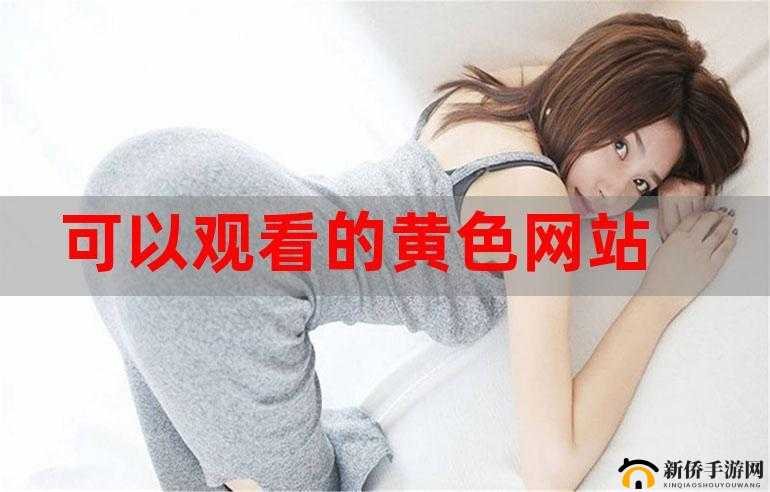 日韩黄 AV：成人影片中的日韩风情