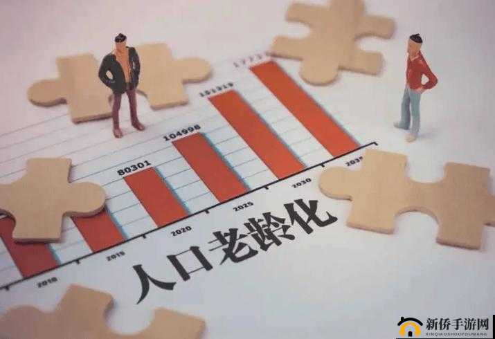 中国老女人内谢：揭示老龄化社会的挑战与机遇