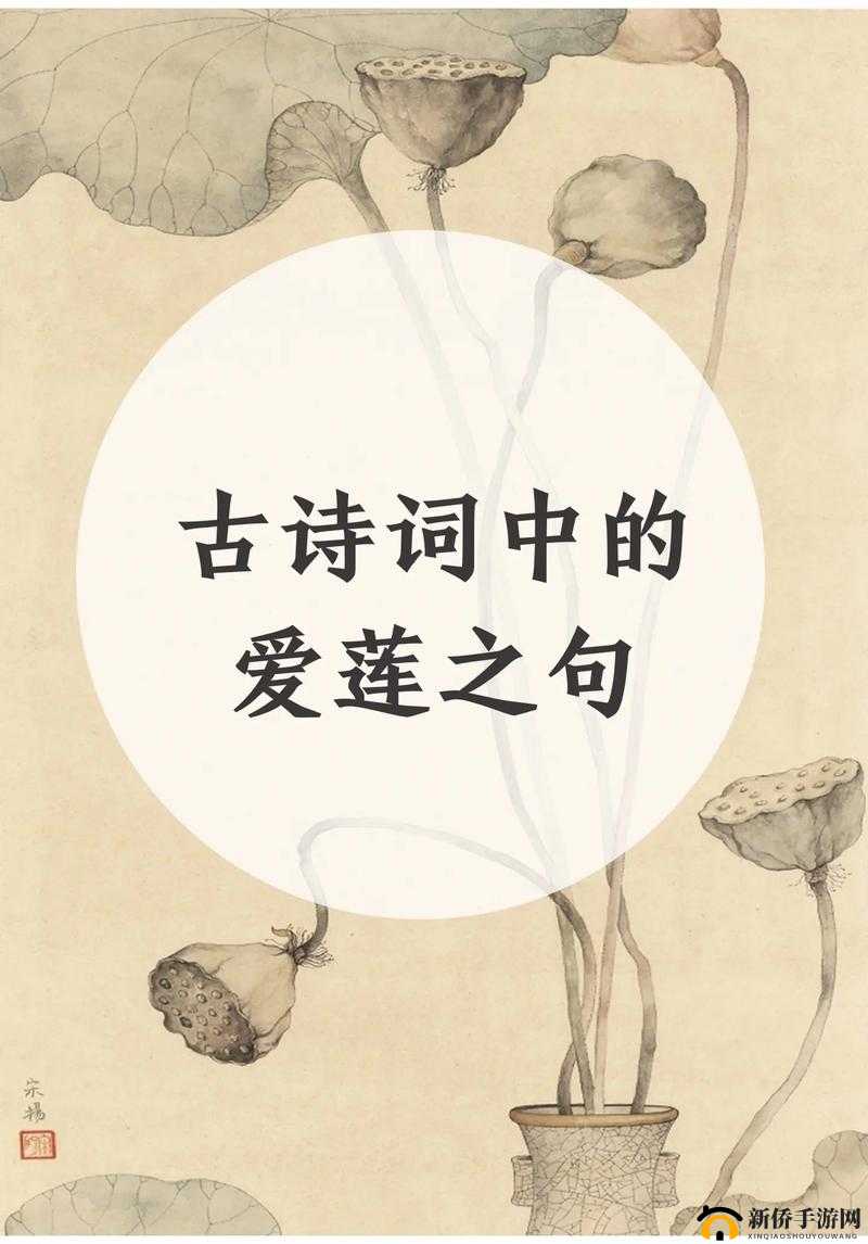 两瓣红莲今夜开，一池碧水盼君浴