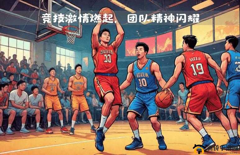 CHINAGARY 篮球体育飞机：热血竞技的空中伙伴