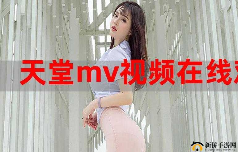 欧美日韩国产 MV 网站资源大汇总