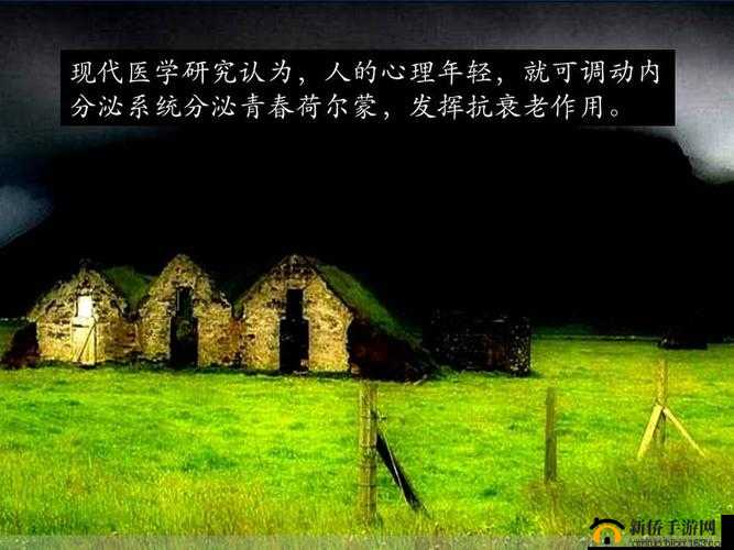 青春荷尔蒙在线观看免费提供多样观看方案：多种途径任你选