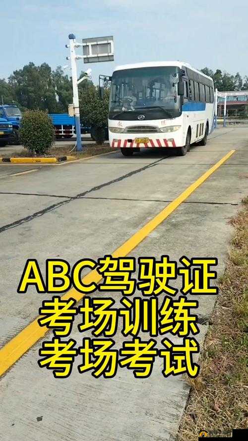 国产 A1A2A3 恢复更新:值得期待