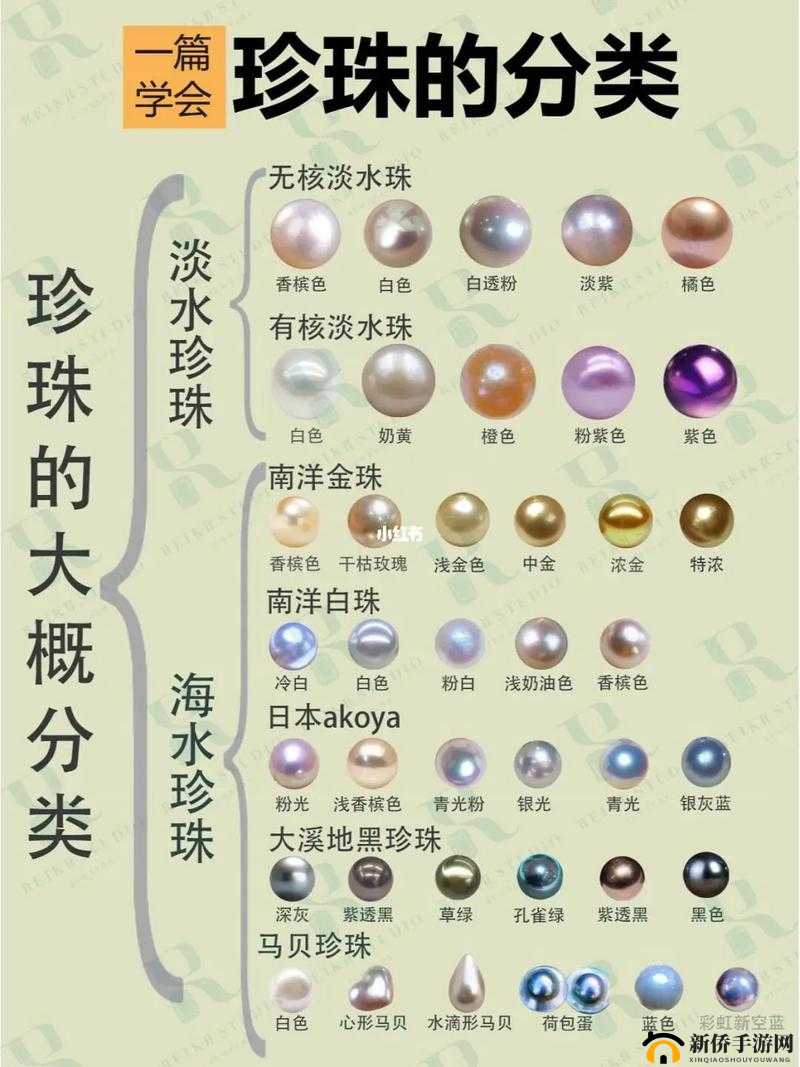 珍珠闪耀:Tchia珍珠位置全览