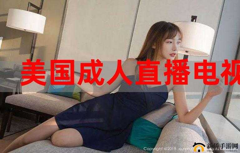 美国成年人频道:成年人世界的无限想象