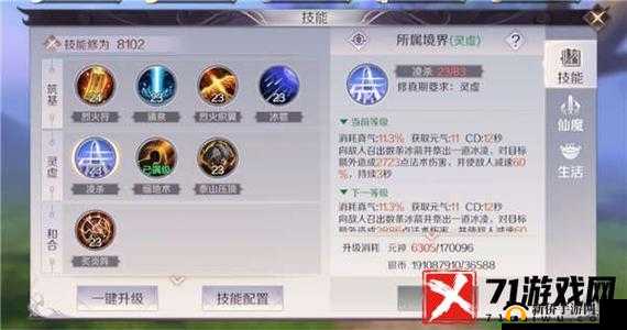 手游宠物技能高级永恒详解攻略:特色技能深度解析与实战应用指南